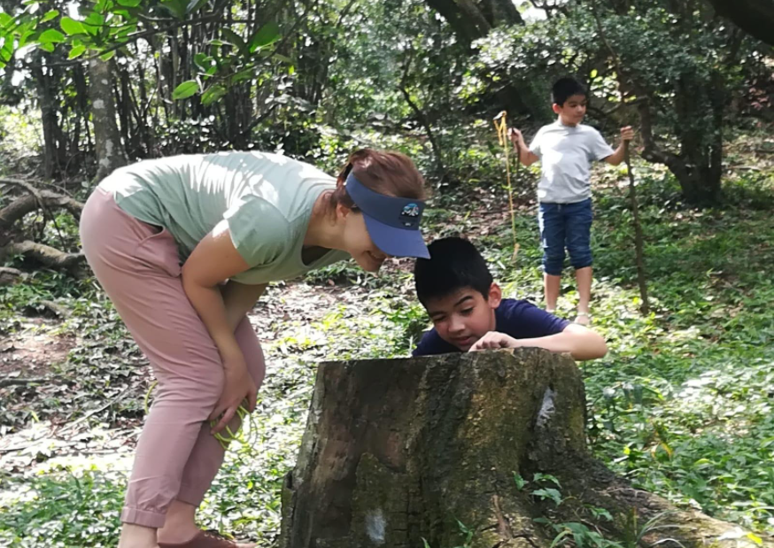 forest school